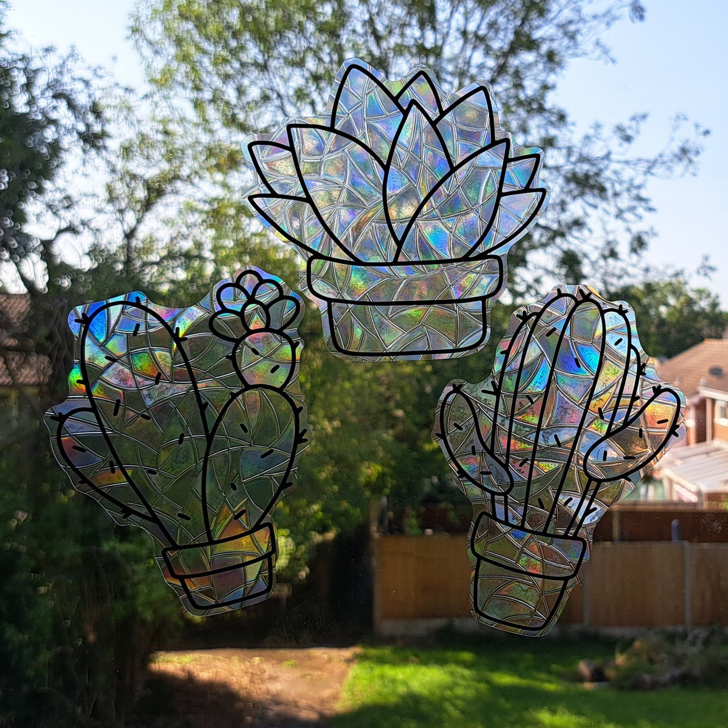 Succulent Suncatcher