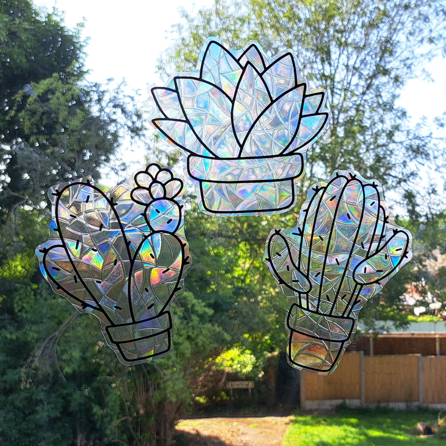 Succulent Suncatcher
