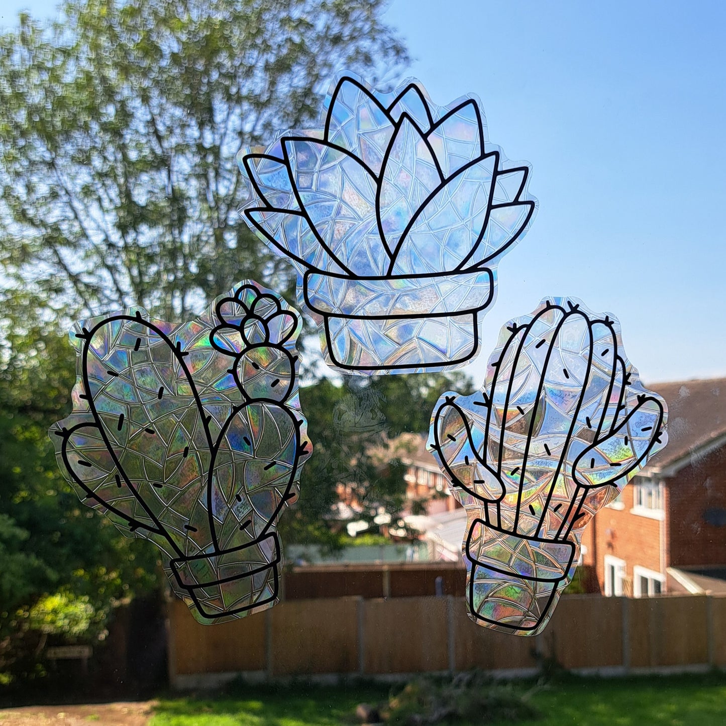 Succulent Suncatcher