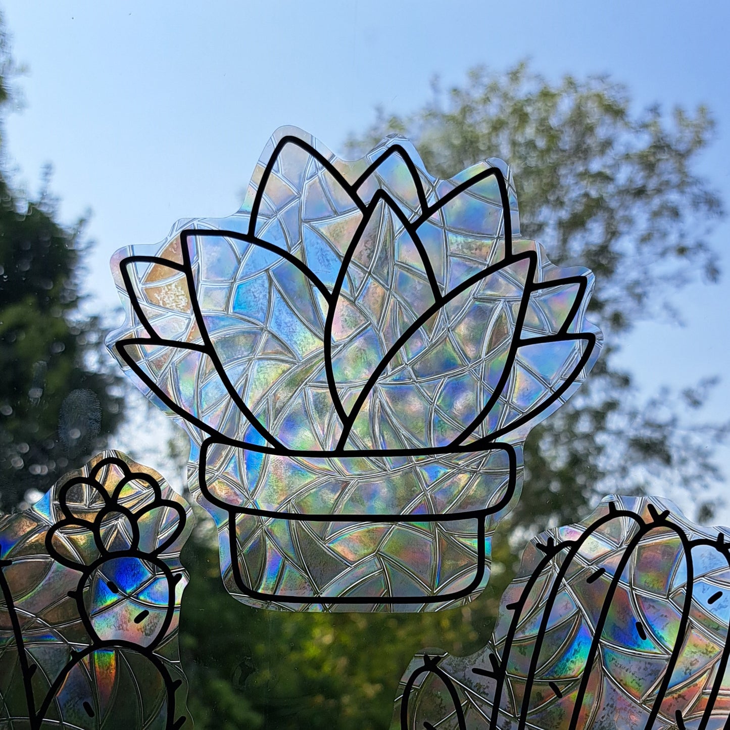 Succulent Suncatcher