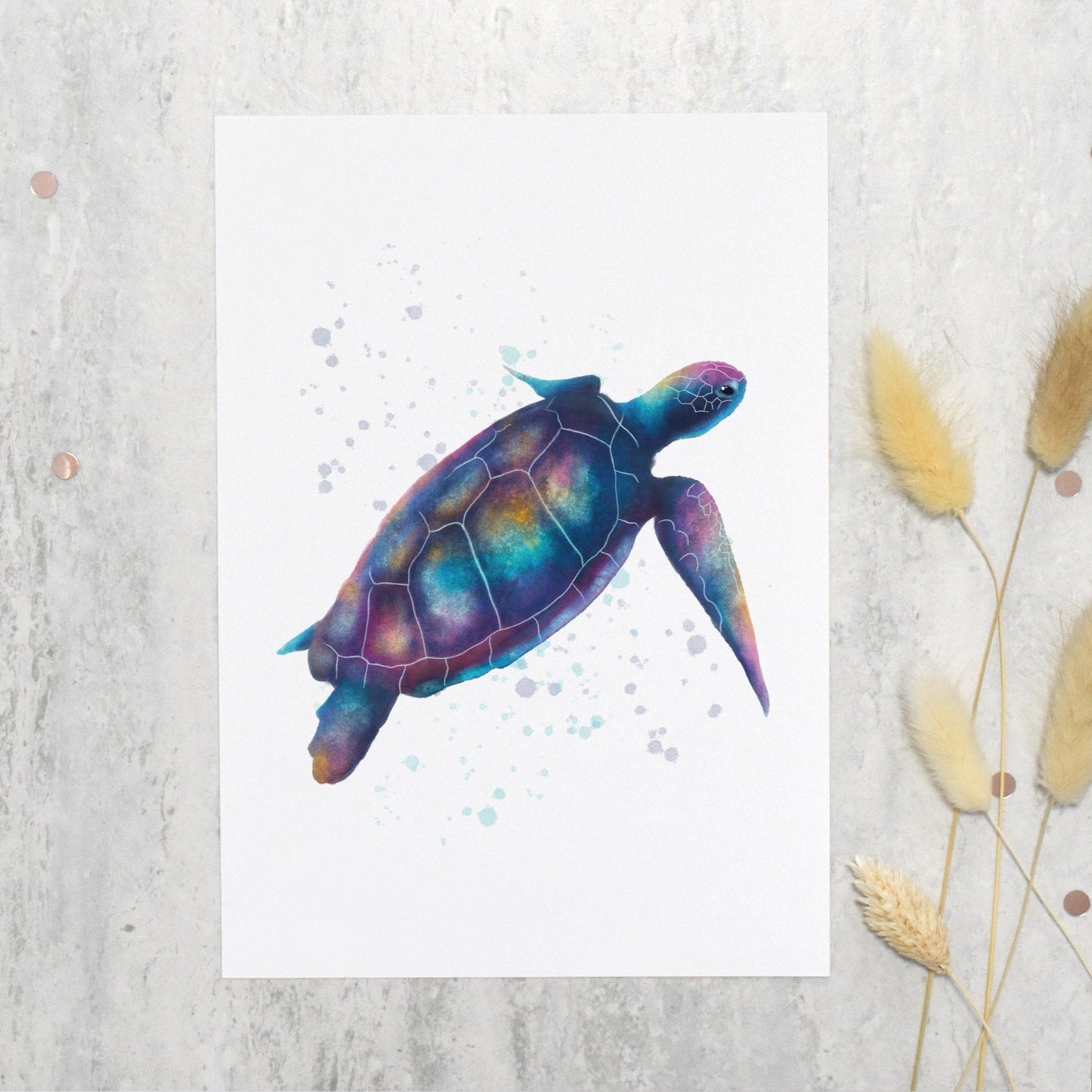 Colorful turtle illustration on a textured white background with dried plants.