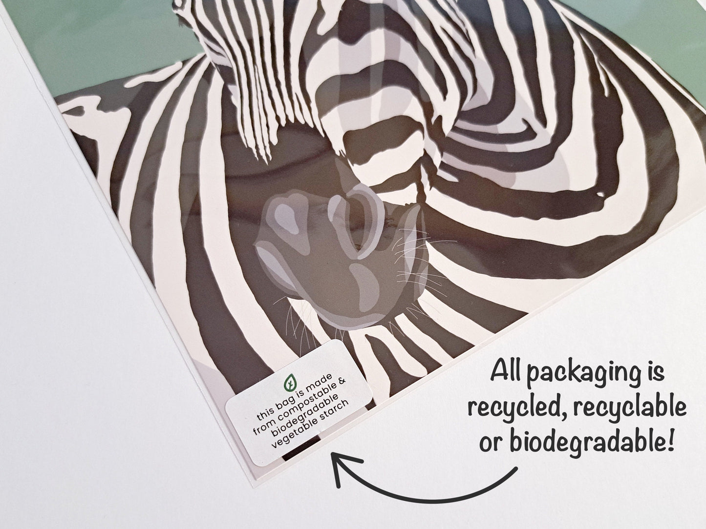 Cactus Wall Art Print