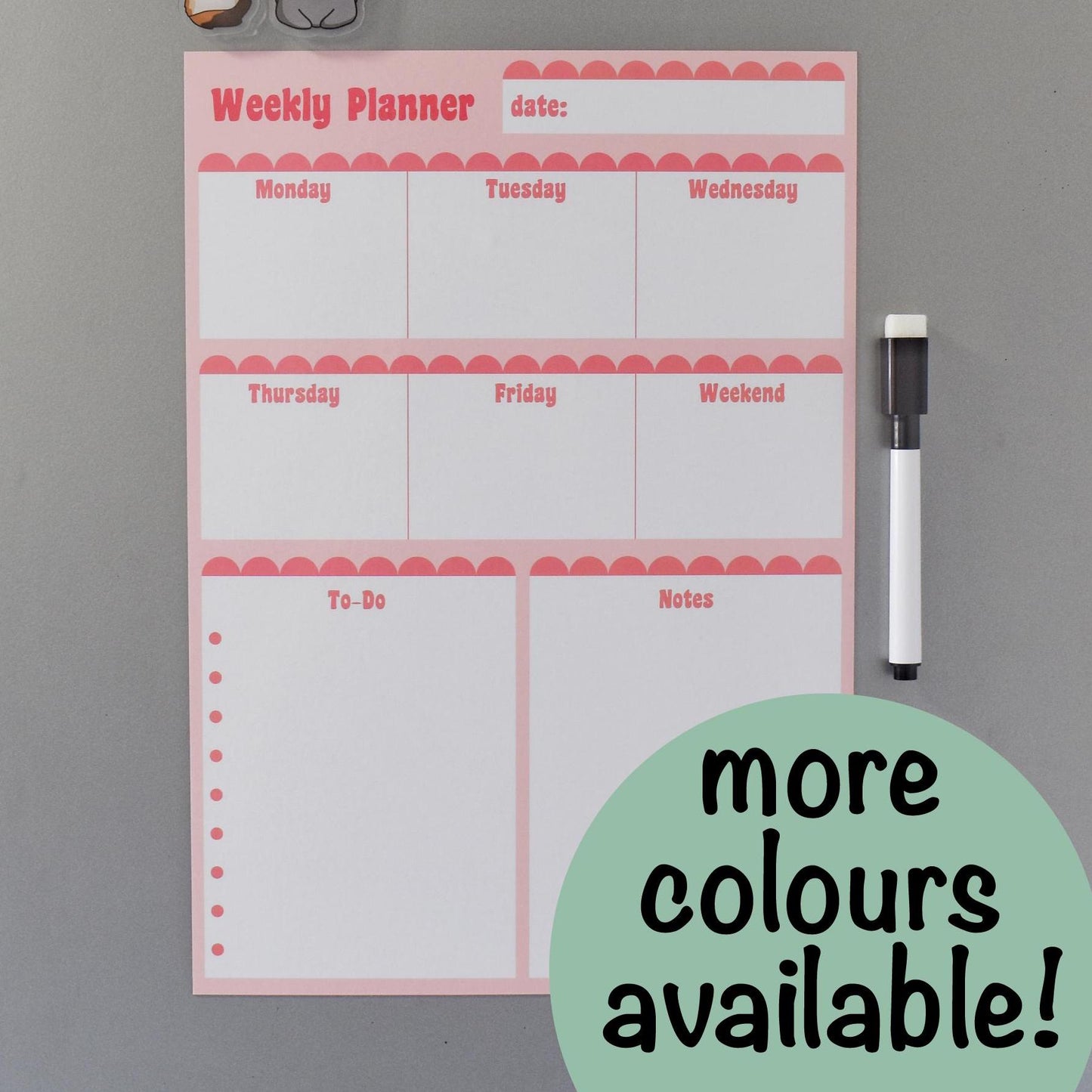 B-Grade Scalloped Magnetic Wipeable Planner