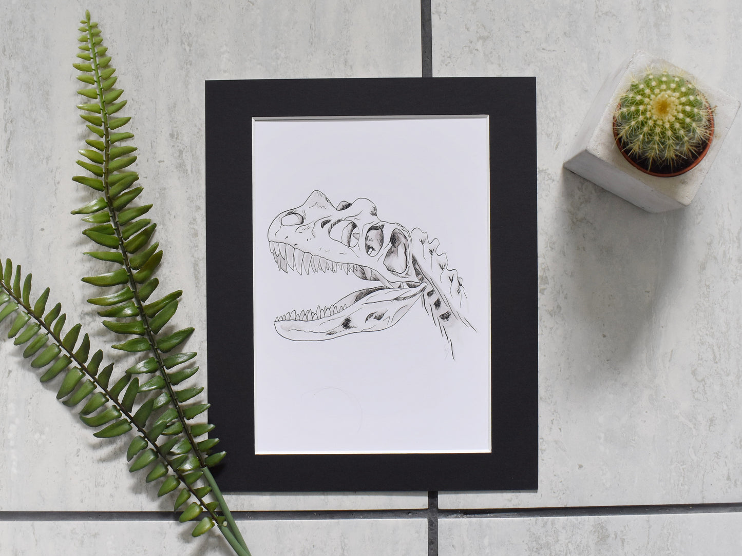 Mounts for Prints