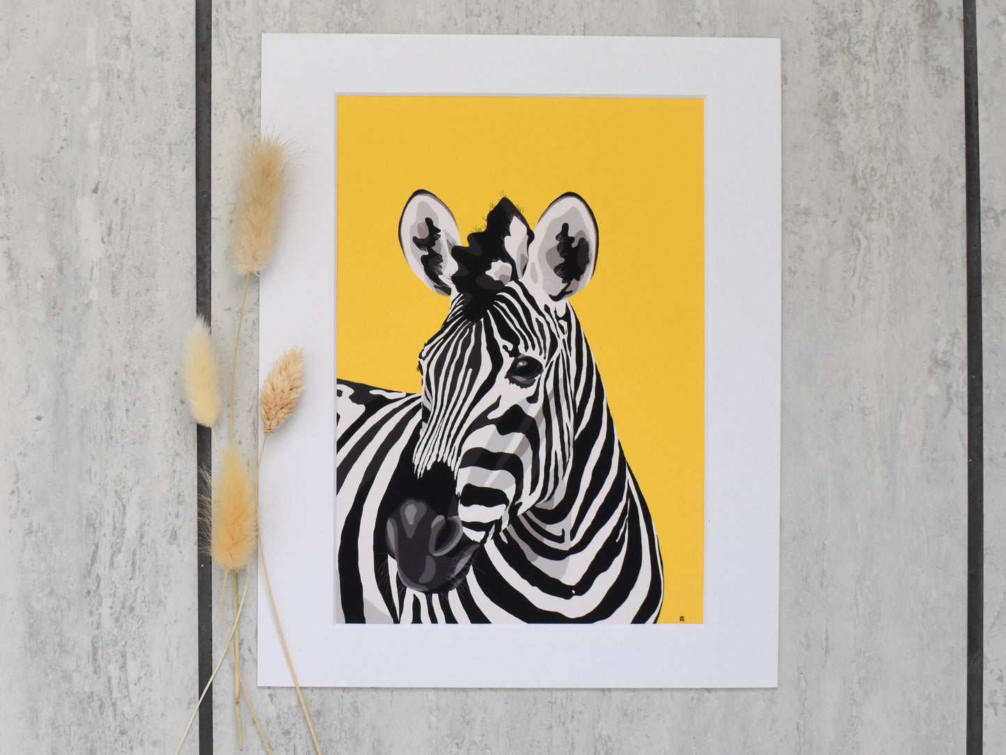 Mounts for Prints