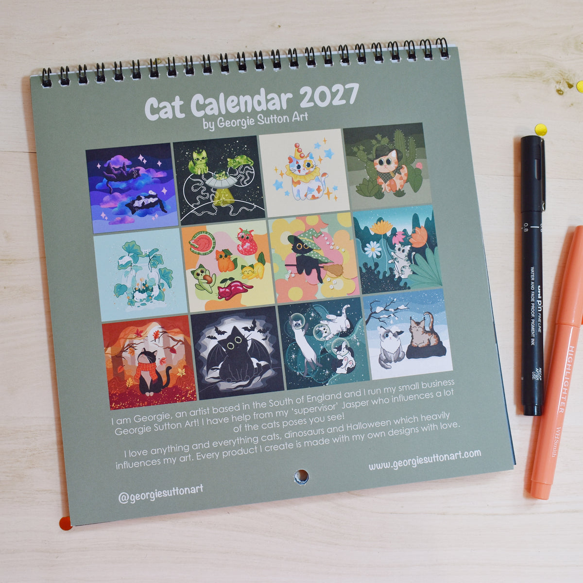 2027 Cat Calendar