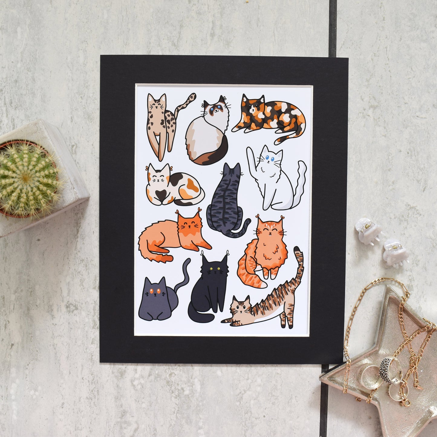Mounts for Prints