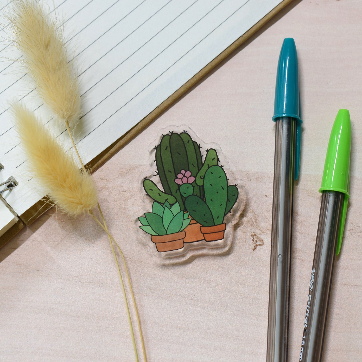 Cactus Keyring, Magnet or Pin Badge