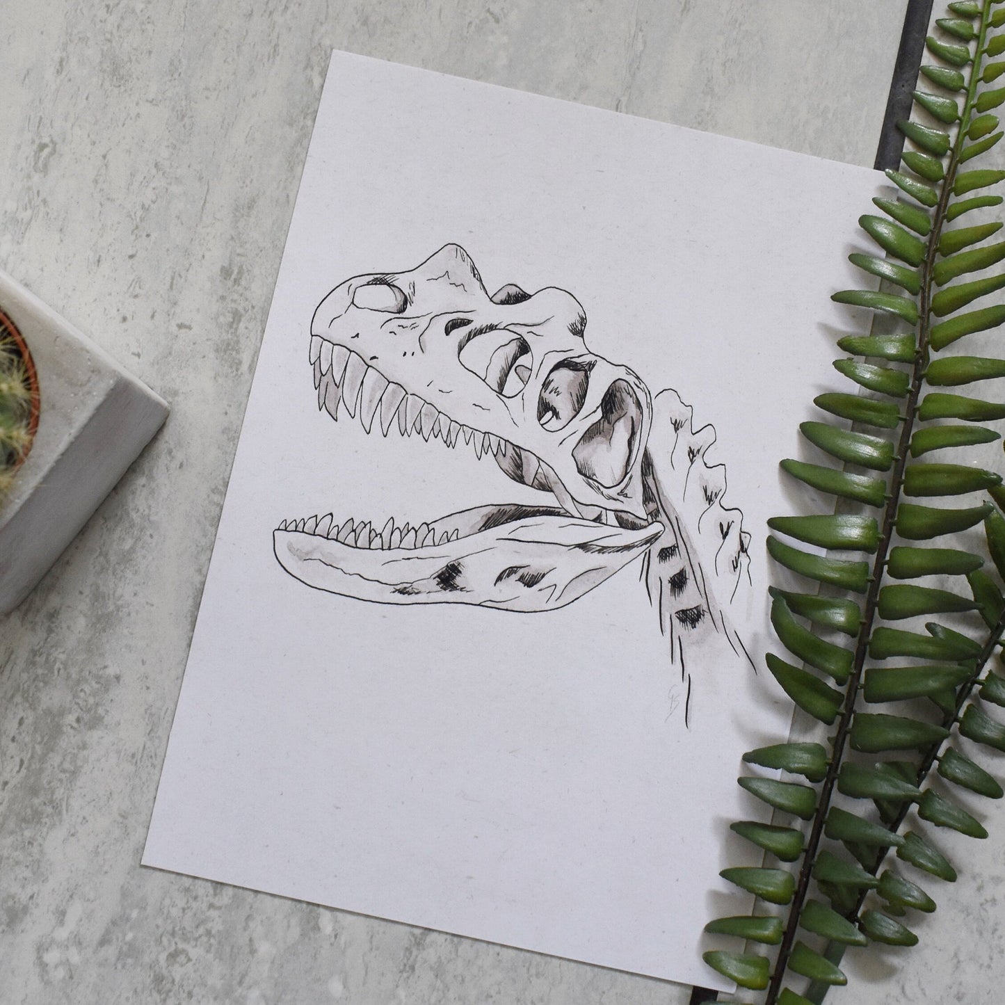 Dinosaur skull drawing on a piece of paper with a cactus and fern on a gray surface
