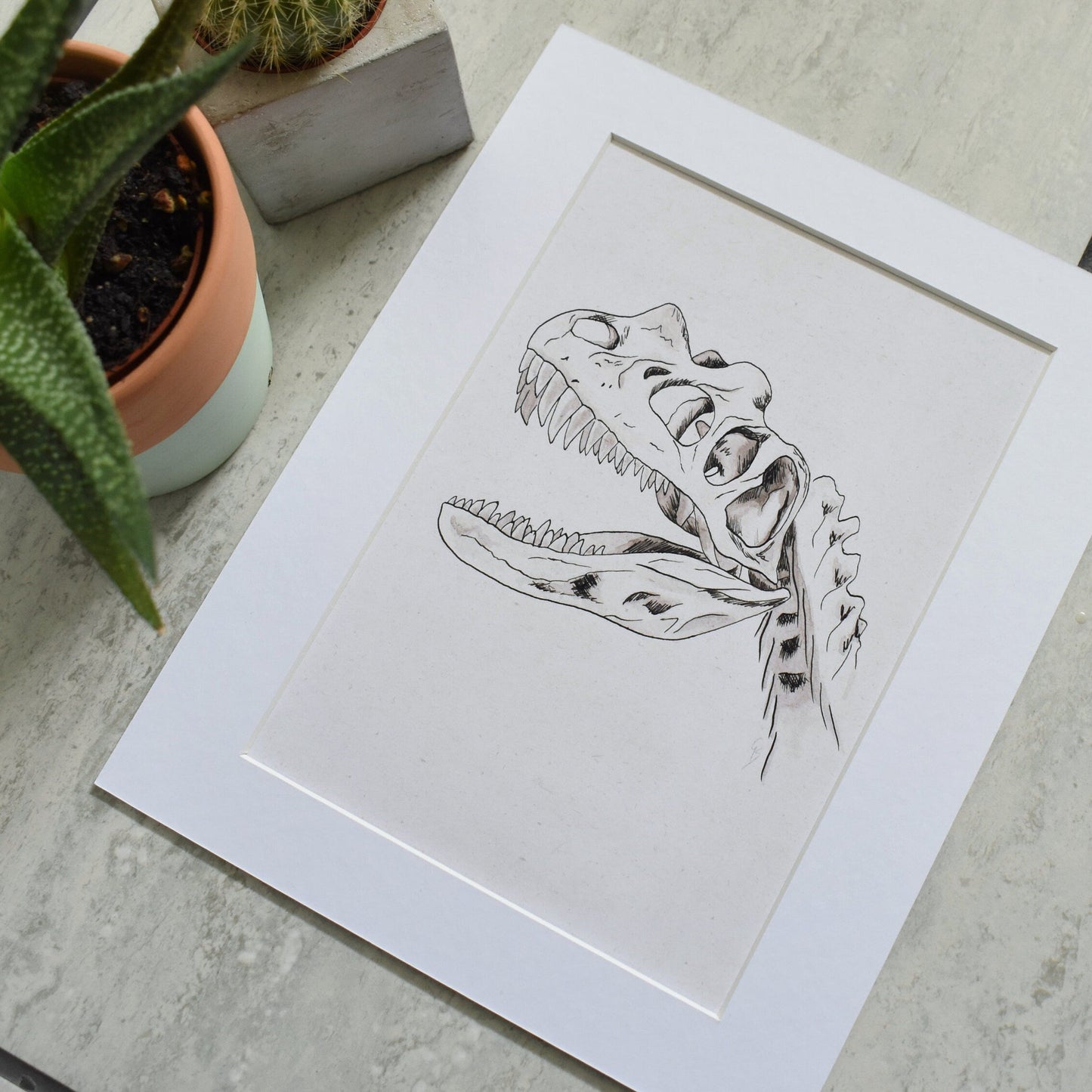 Black and white shoe illustration on a white card with a plant in the background