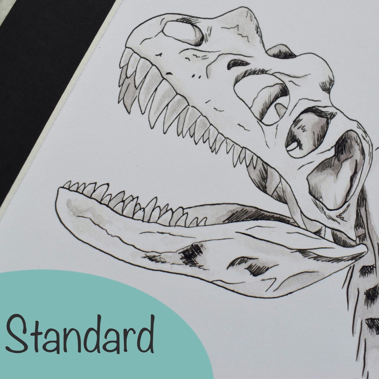 Dinosaur skull drawing on a piece of paper with 'Standard' label.
