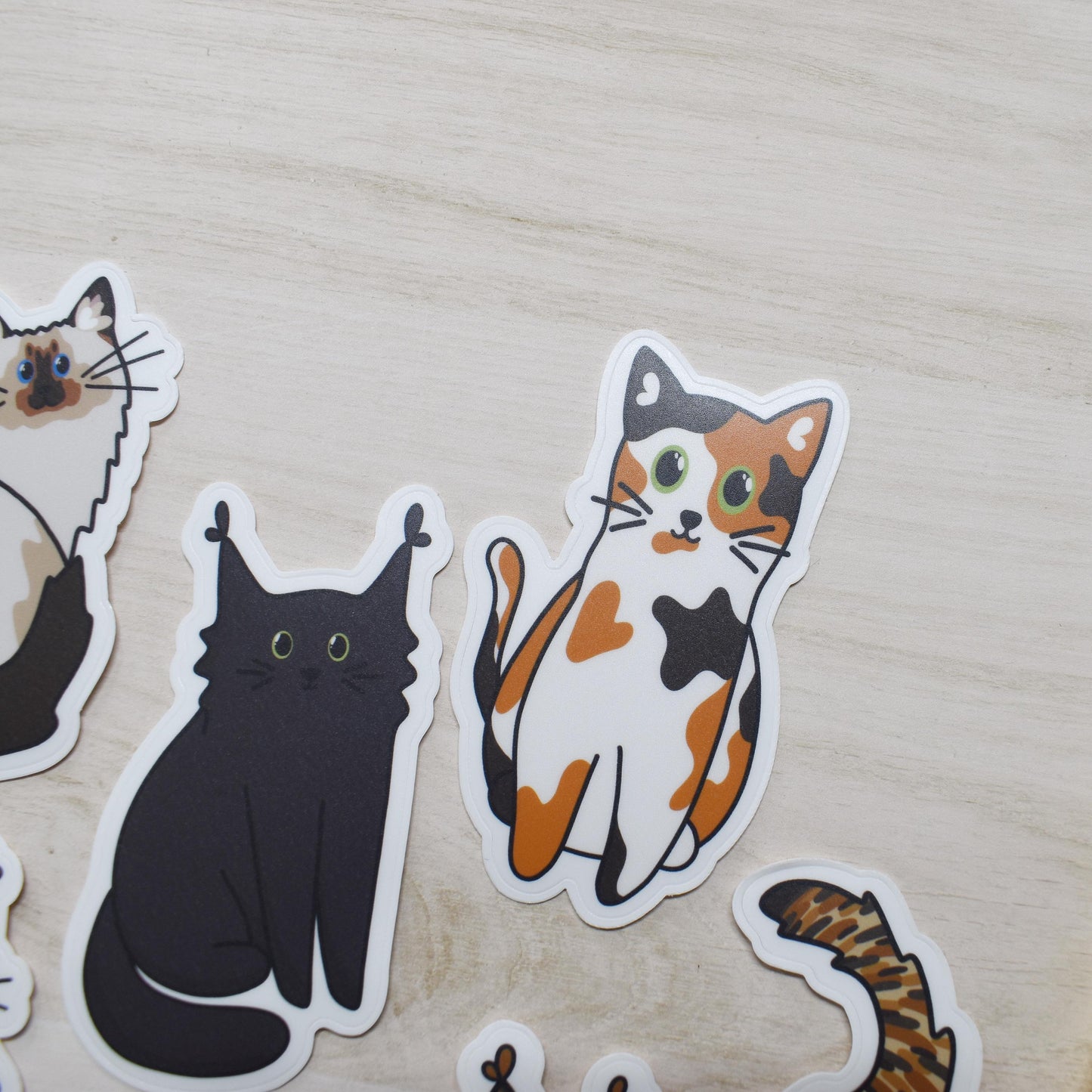 Cat Sticker Pack