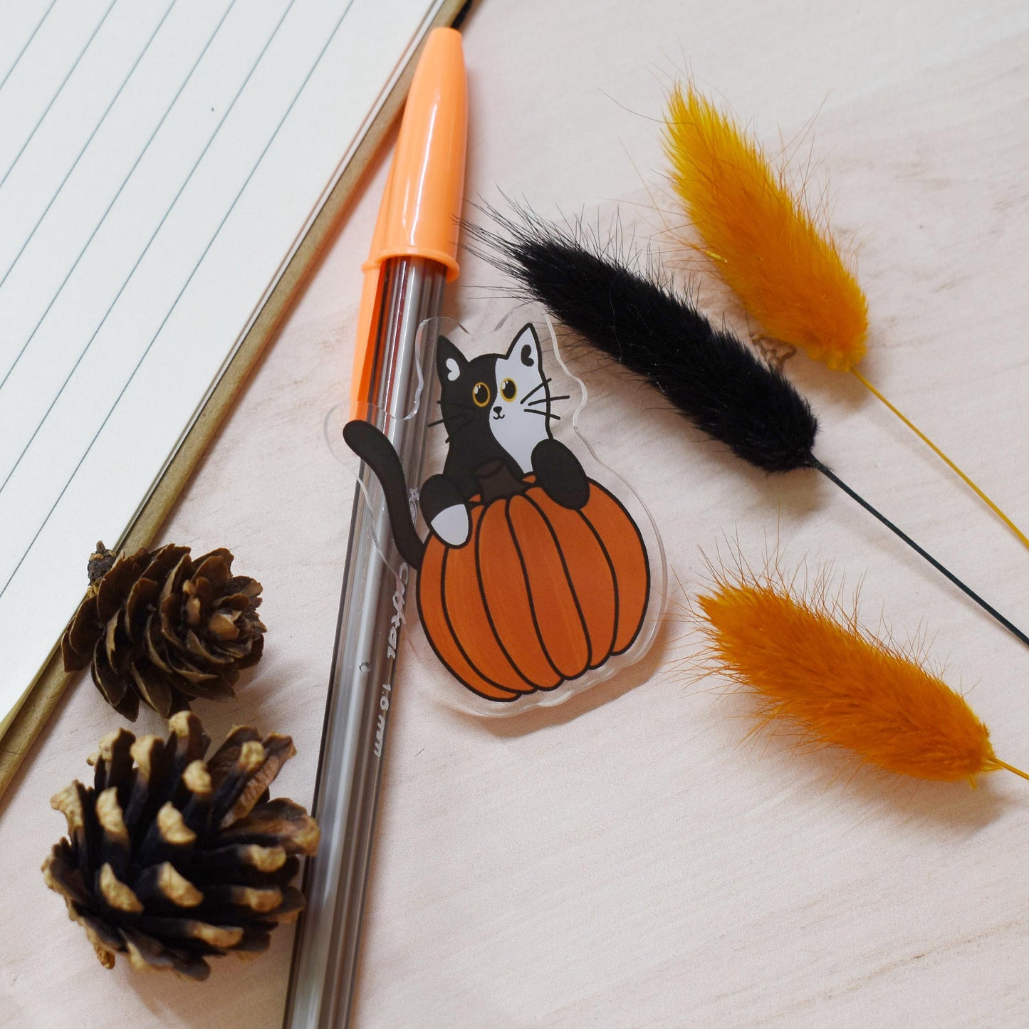 Pumpkin Cat Magnet