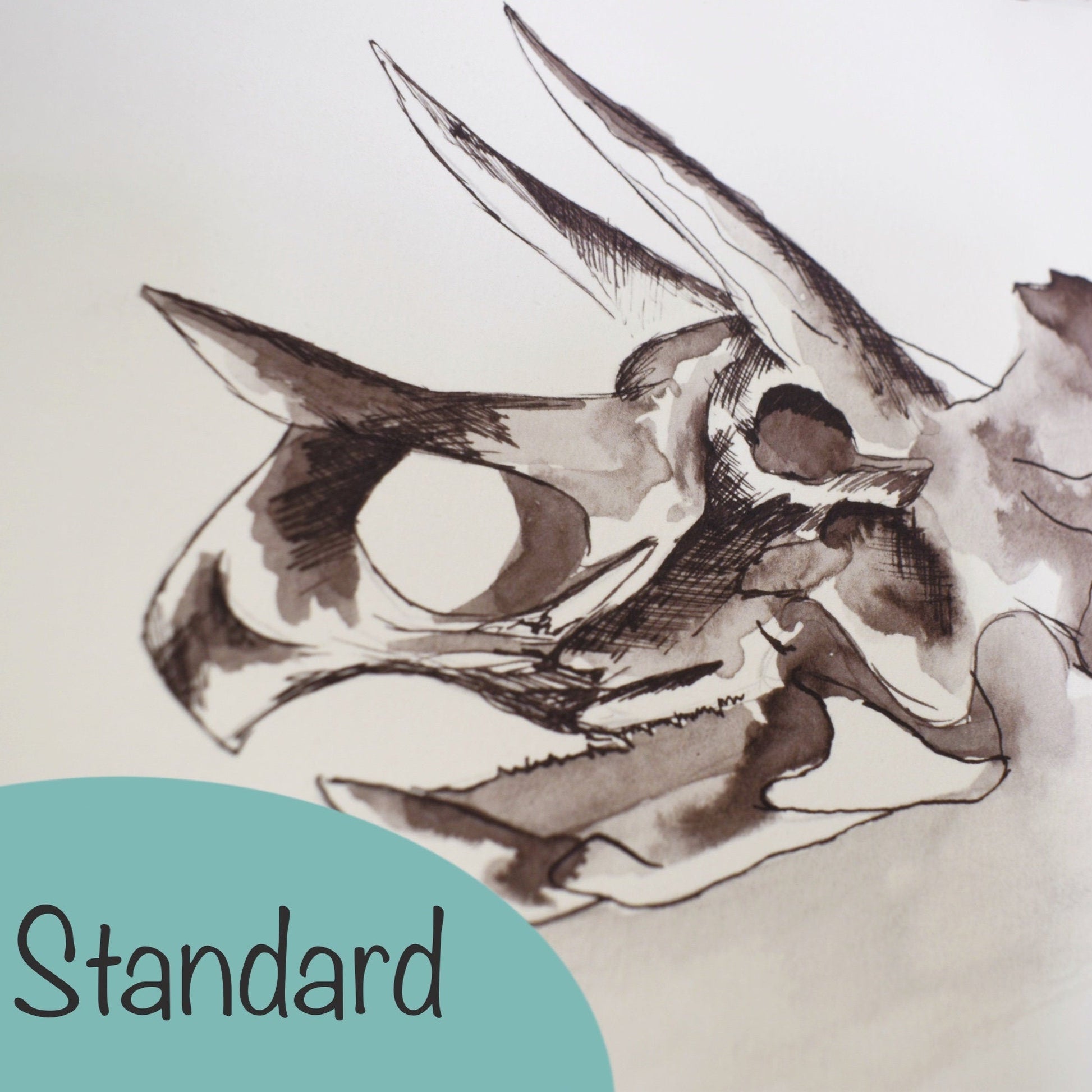 Skull of a triceratops on a white background, labeled 'Standard'.