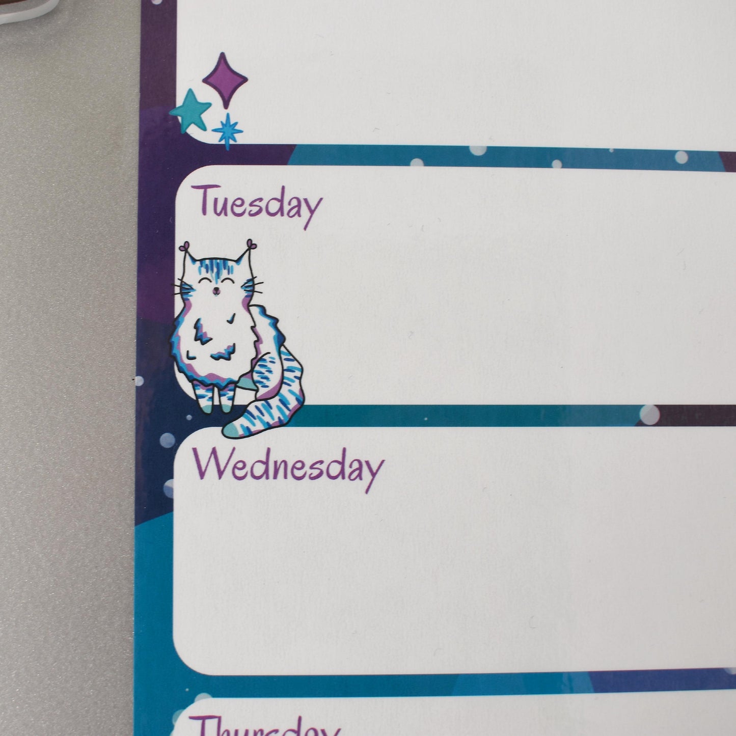 Celestial Cat Magnetic Wipeable Planner