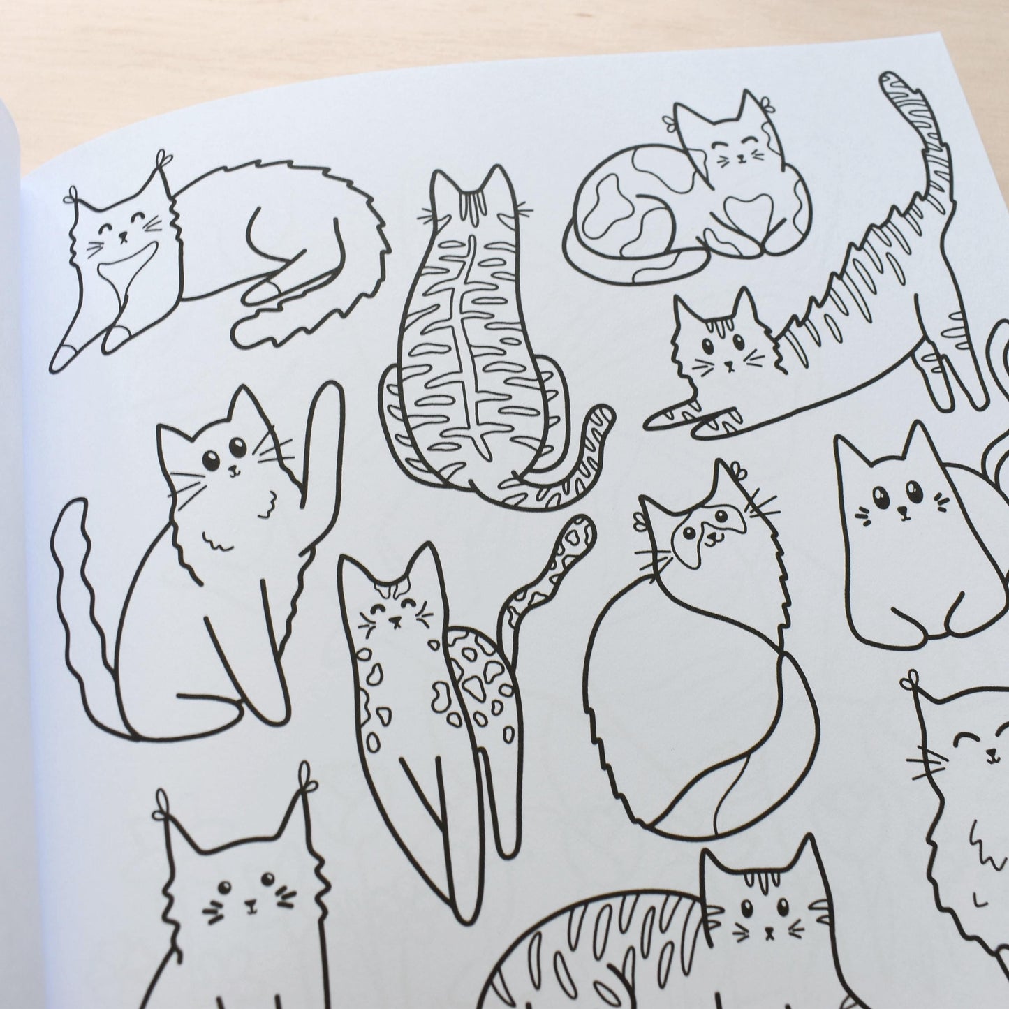 Cat and Dino Colouring Book
