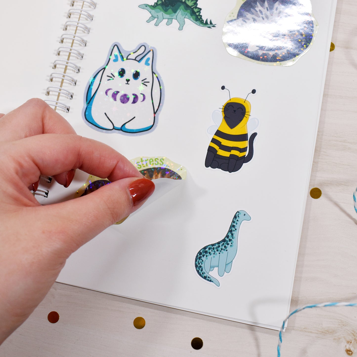 Chunky Cats Reusable Sticker Book