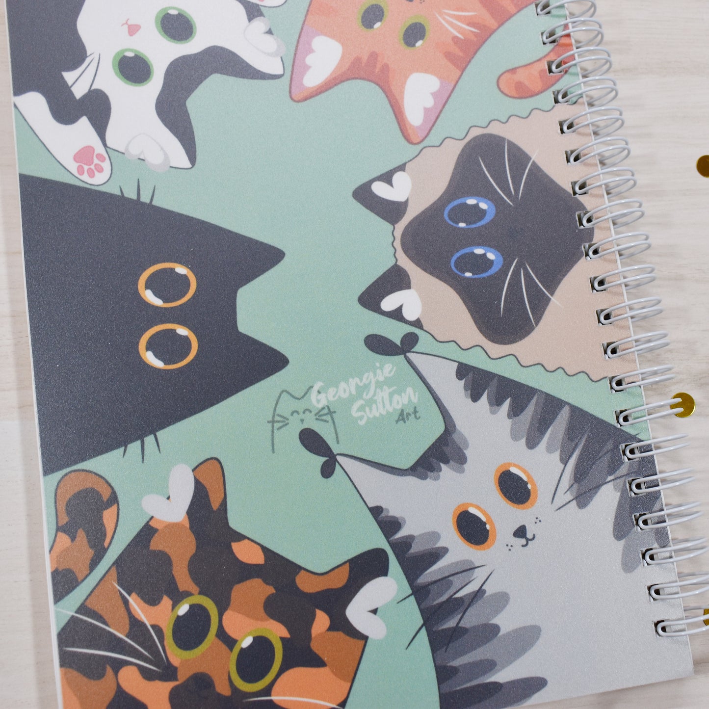 Chunky Cats Reusable Sticker Book