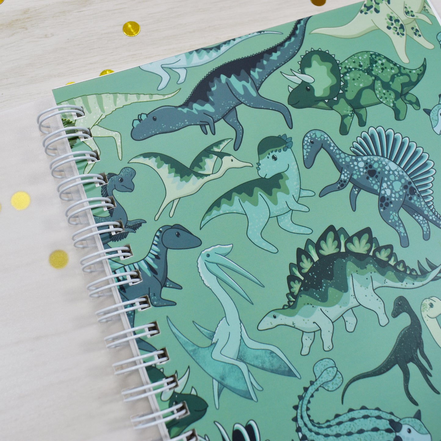 Dinosaur Reusable Sticker Book