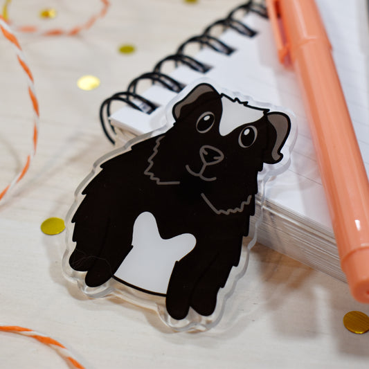 Black Guinea Pig Magnet
