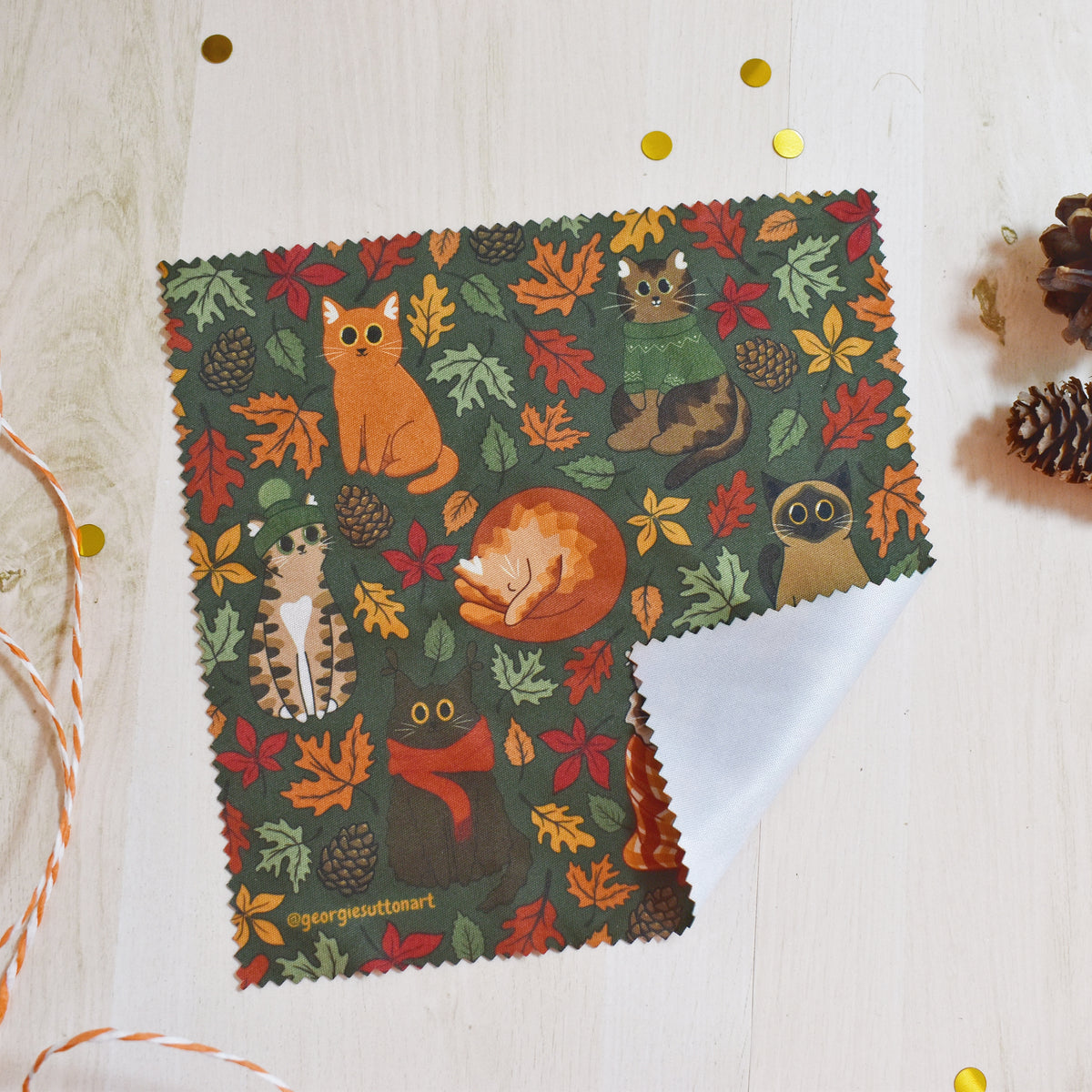 Autumn Cat Glass Cloth