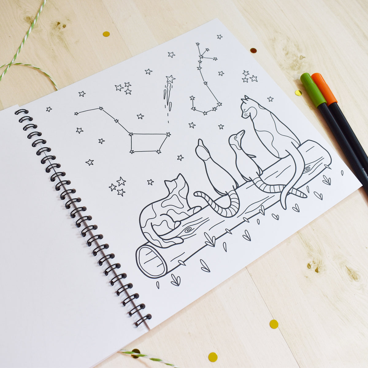 Cat and Dino Colouring Book