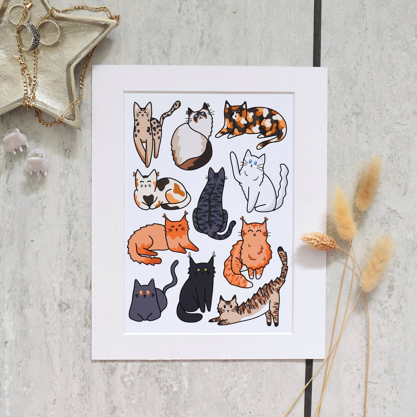 Mounts for Prints