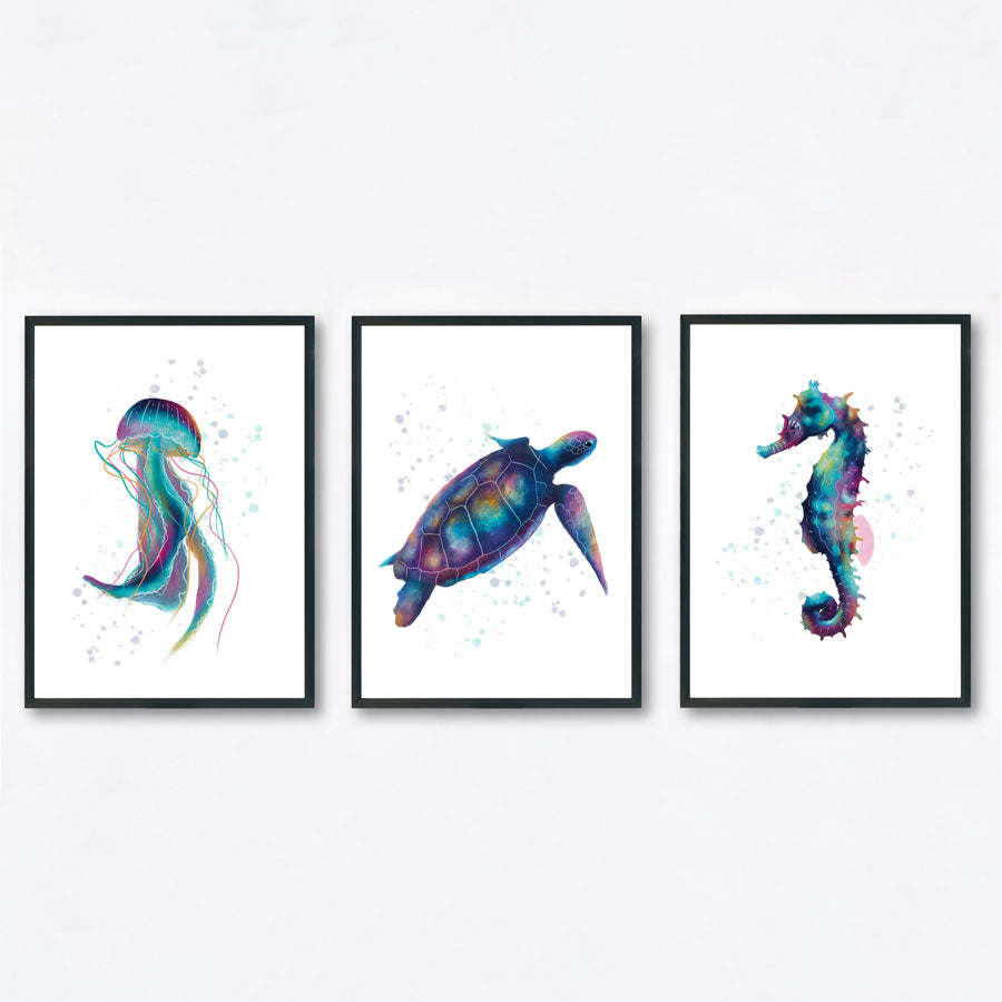 Three framed artworks of a jellyfish, turtle, and seahorse on a white wall.