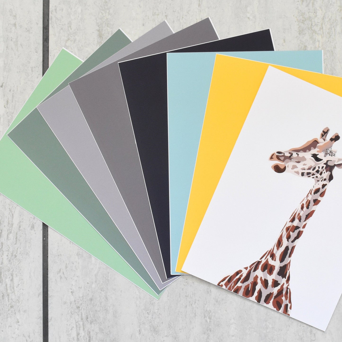 Set of color swatches with a giraffe image on a wooden surface