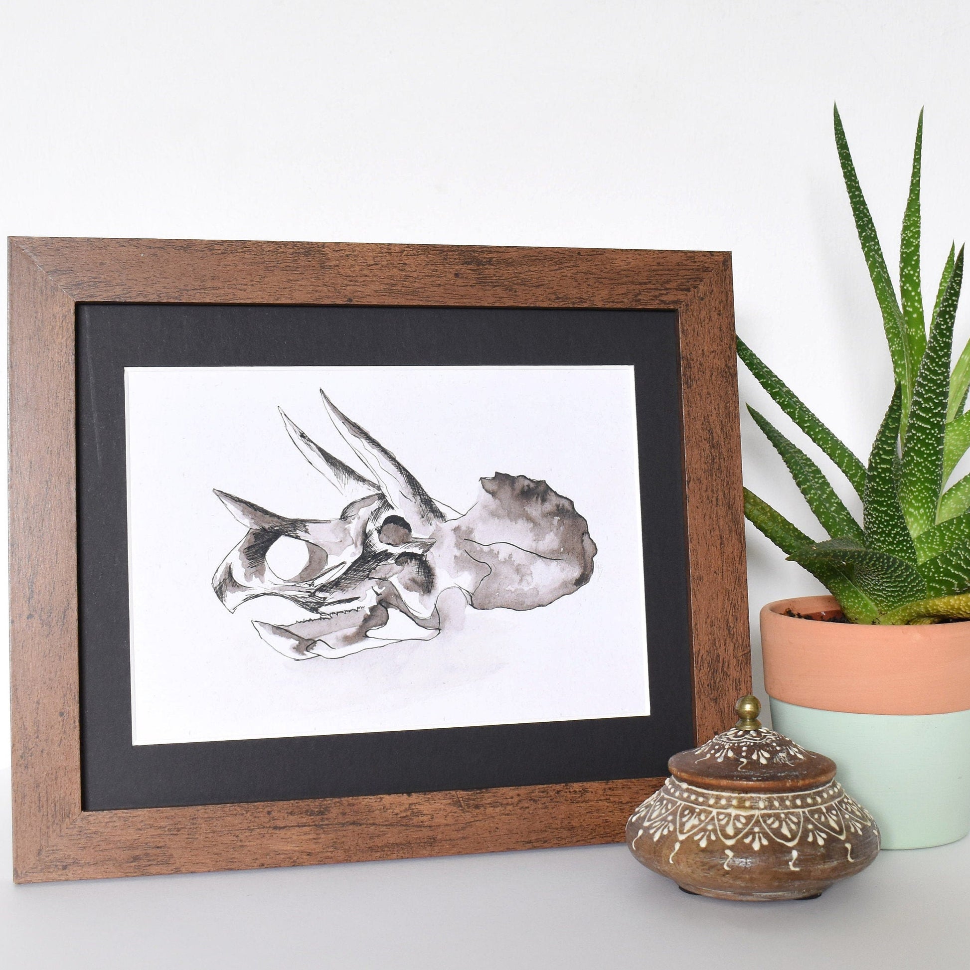Framed black and white illustration of a dinosaur skull next to a potted plant on a white surface.