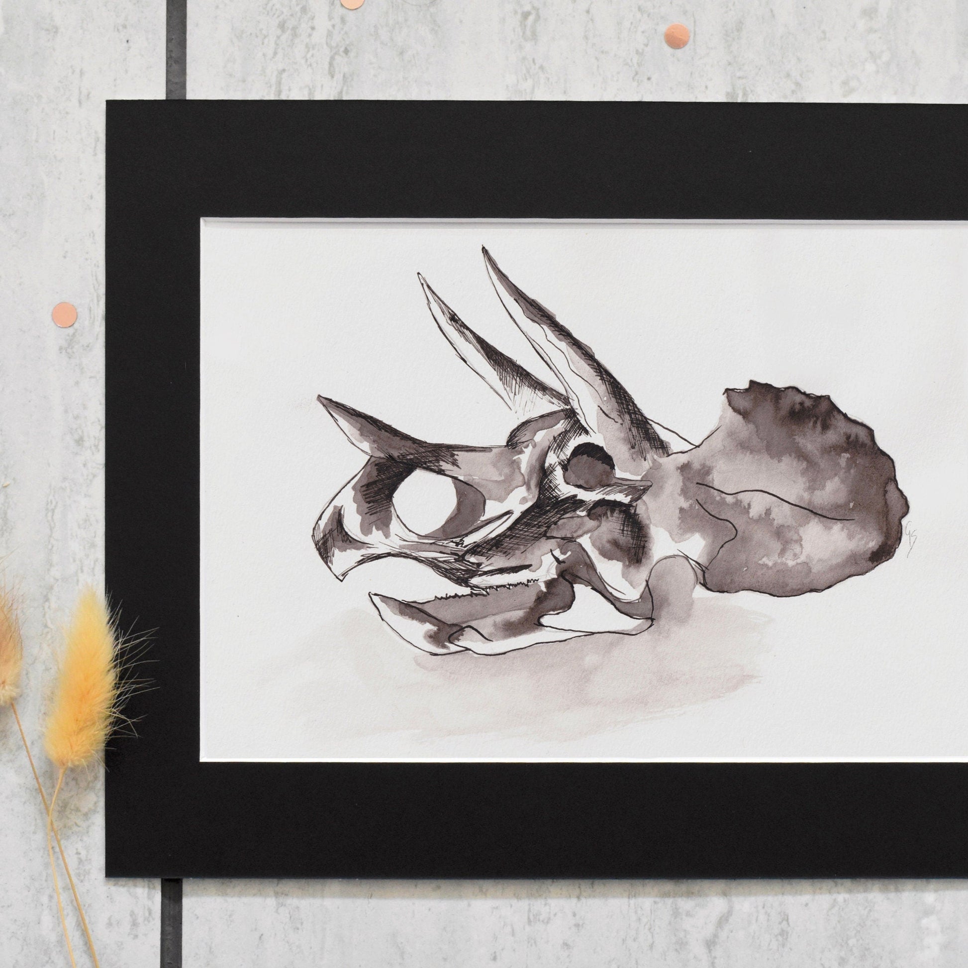 Framed black and white illustration of a triceratops skull on a textured surface with dried plants.