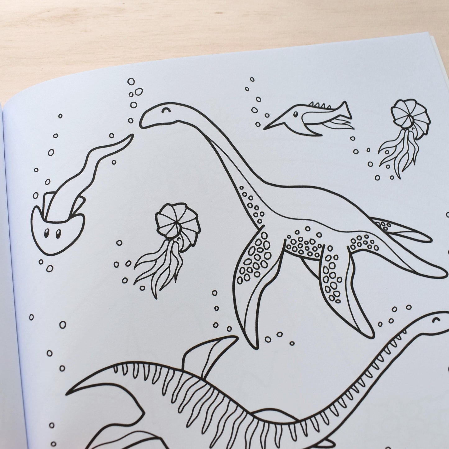 Cat and Dino Colouring Book