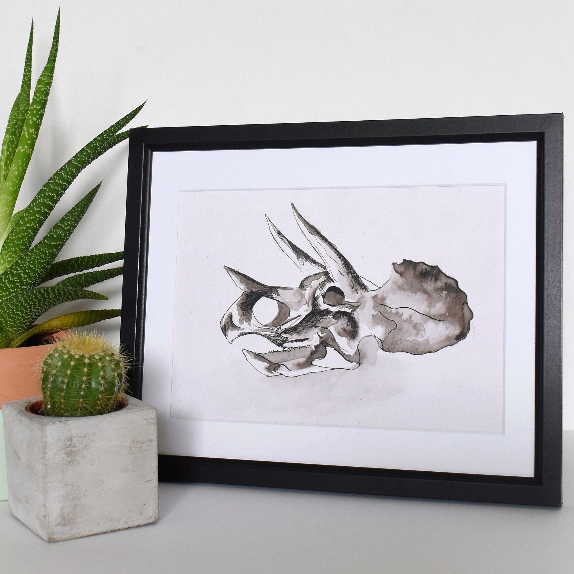 Framed artwork of a triceratops skull next to potted plants on a white surface.