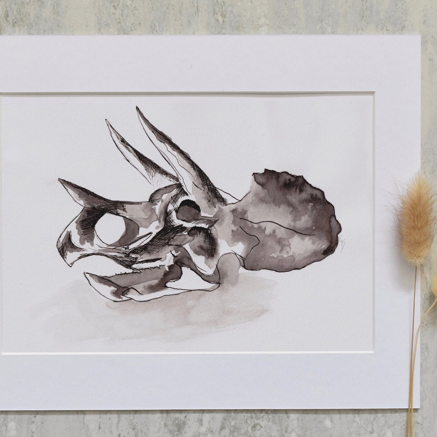Triceratops skull illustration on a white sheet of paper with dried plants on a gray surface.