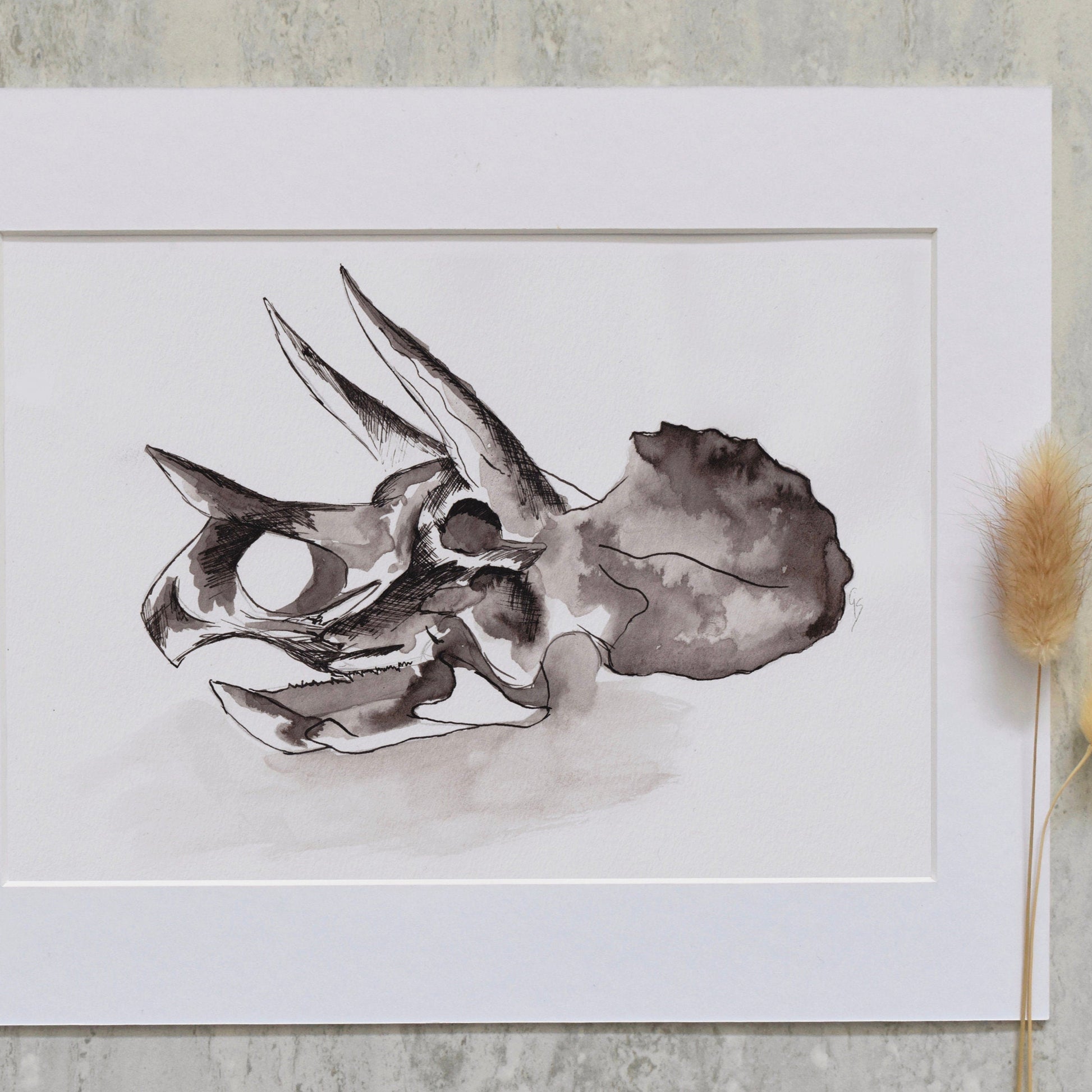 Triceratops skull illustration on a white sheet of paper with dried plants on a gray surface.