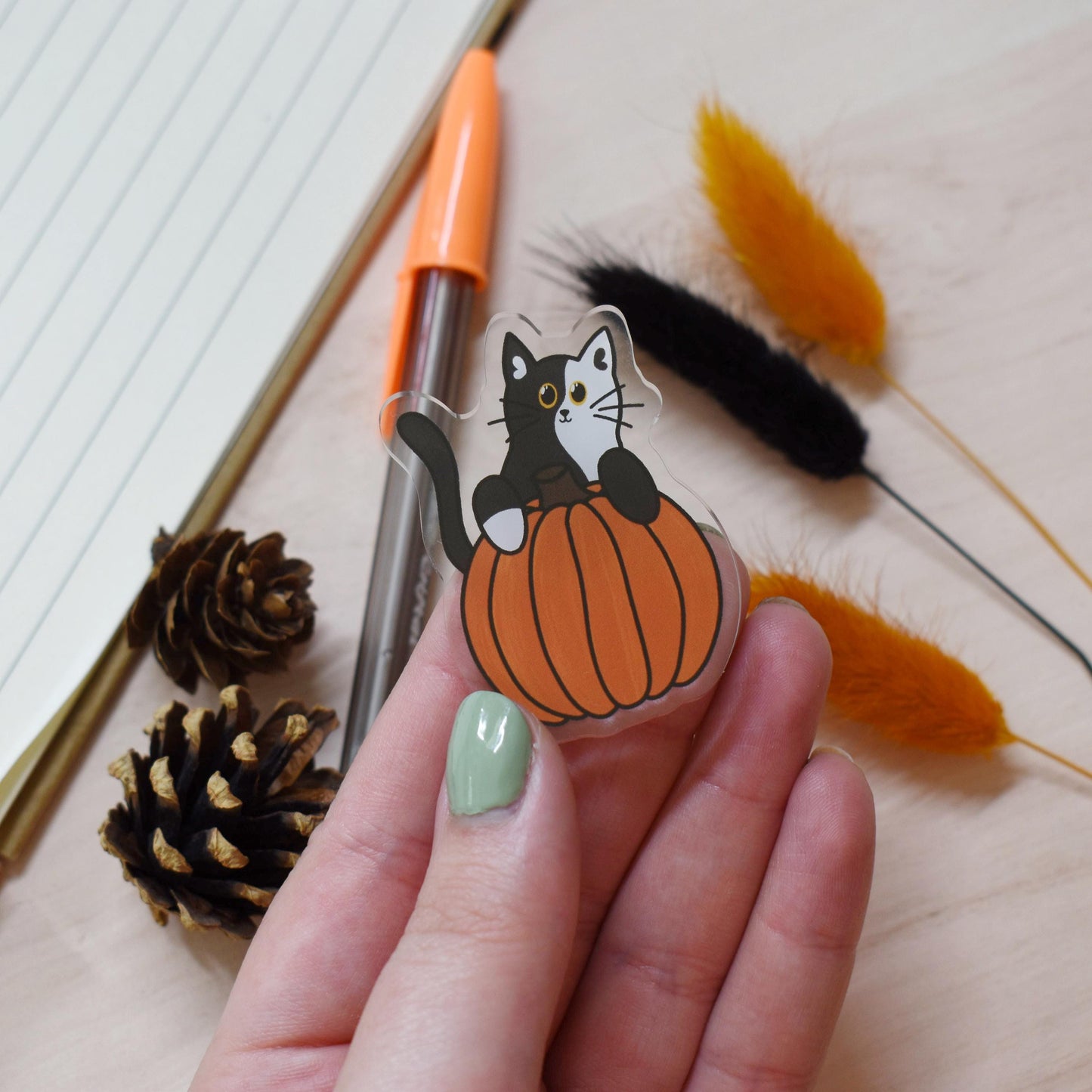 Pumpkin Cat Pin Badge