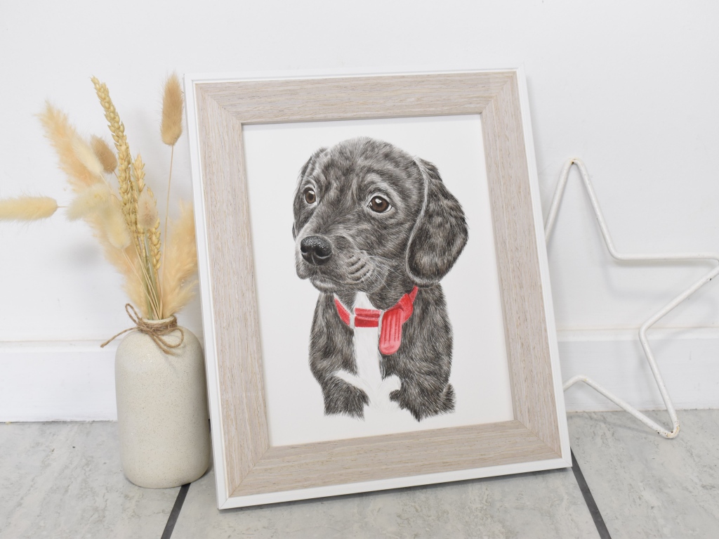Springador watercolour portrait framed in wooden and cream frame
